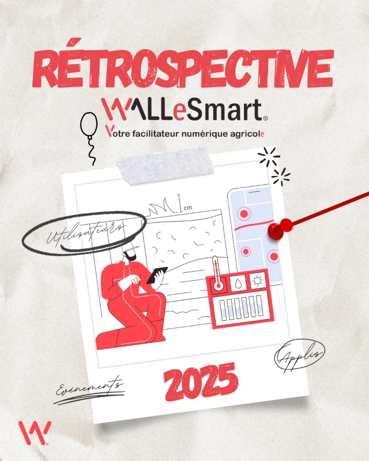 Rétrospective 2025